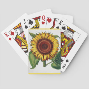 Jeu De Cartes Botanique vintage - le tournesol,