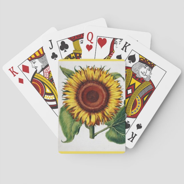 Jeu De Cartes Botanique vintage - le tournesol, (dos)
