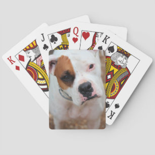 Jeu De Cartes Boucle