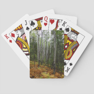 Jeu De Cartes Bouleaux blancs et fougères d'automne aux montagne
