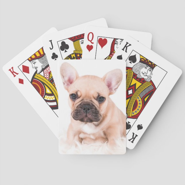 Jeu De Cartes Bouledogue français (dos)