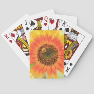 Jeu De Cartes Bourdon sur tournesol, Jardin communautaire