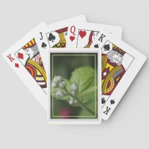 Jeu De Cartes bourgeons de fleur de framboise