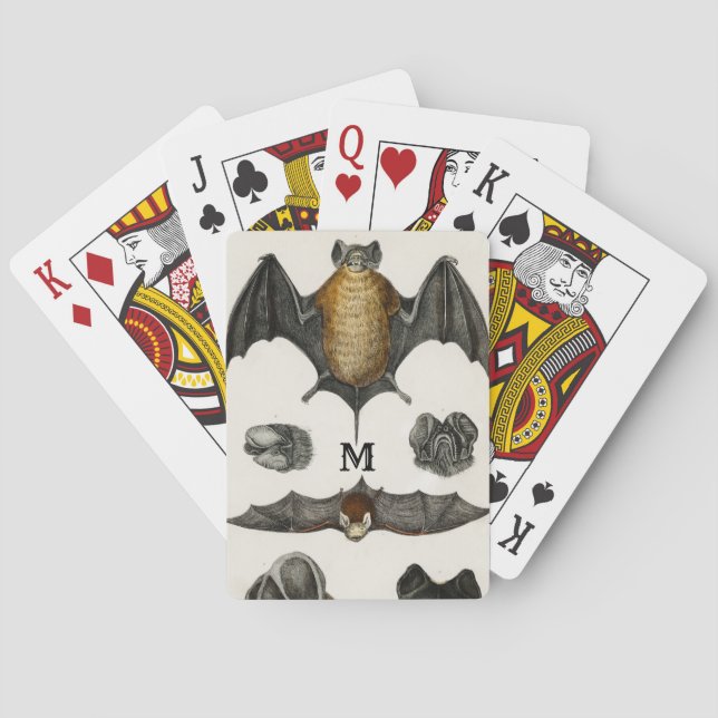 Jeu De Cartes Bouton d'illustration cadeau de chauves-souris per (dos)