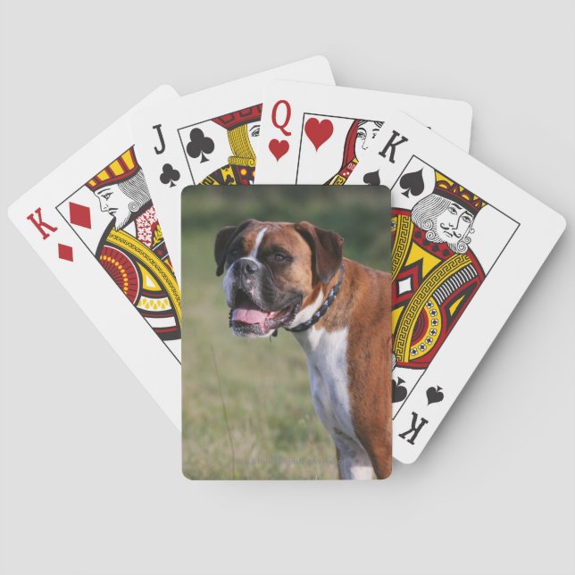 Jeu De Cartes Boxer (dos)