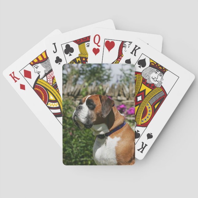 Jeu De Cartes Boxer Dog in the Flowers (dos)