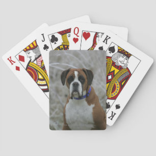 Jeu De Cartes Boxer Dog Sitting in the Frost