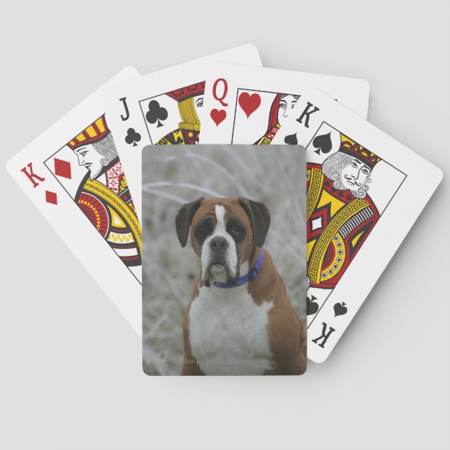 Jeu De Cartes Boxer Dog Sitting in the Frost (dos)