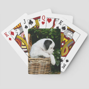 Jeu De Cartes Boxer Puppies in Basket