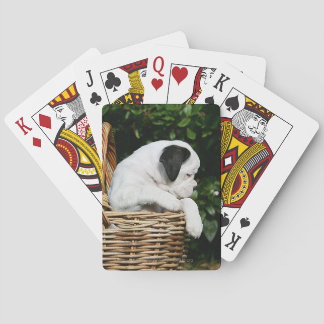 Jeu De Cartes Boxer Puppies in Basket (dos)