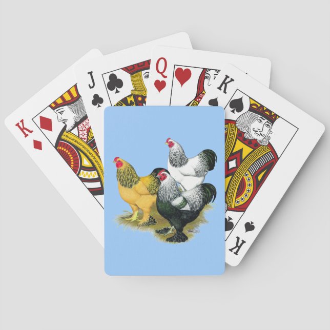 Jeu De Cartes Brahmas Three Roosters (dos)