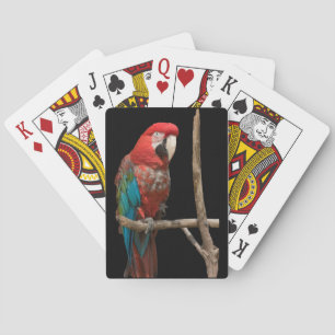 Jeu De Cartes Bright Red and Blue Macaw Bird sur Branche