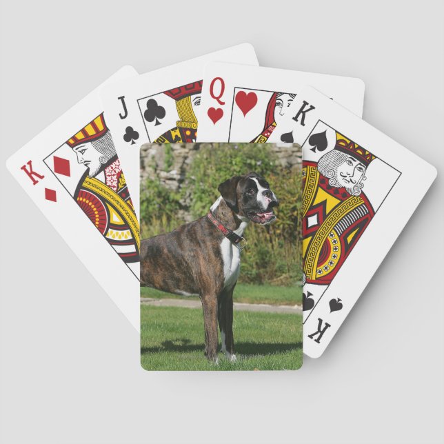 Jeu De Cartes Brindle Boxer Dog Show Stance (dos)