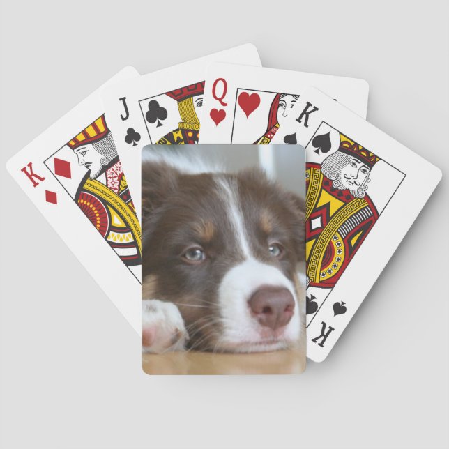 Jeu De Cartes Brown Bordure Collie Chien Jouer Cartes (dos)