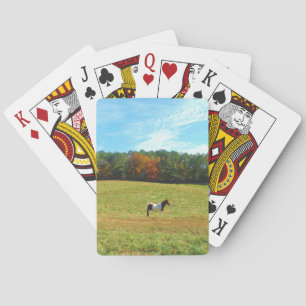 Jeu De Cartes Brown & cheval blanc, arbres d'automne, ciel bleu