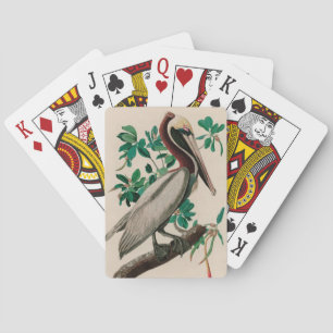 Jeu De Cartes Brown Pelican Birds of America Audubon