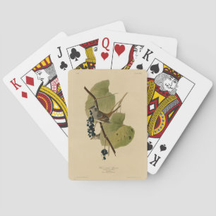 Jeu De Cartes Bruant à couronne blanche - Audubon's Birds of Ame