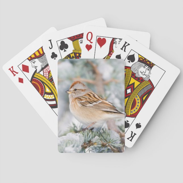 Jeu De Cartes Bruant hudsonien en hiver (dos)