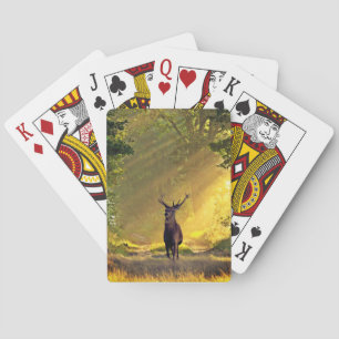 Jeu De Cartes buck Deer