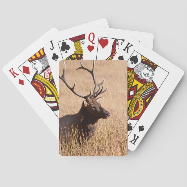 Jeu De Cartes Bull Elk (dos)