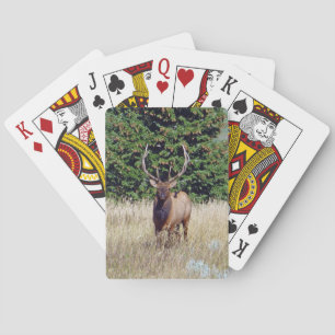 Jeu De Cartes Bull Elk Playing Cards