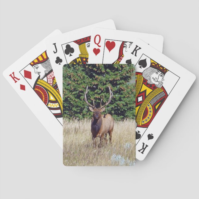 Jeu De Cartes Bull Elk Playing Cards (dos)