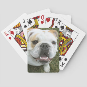 Jeu De Cartes bulldog anglais jouant aux cartes