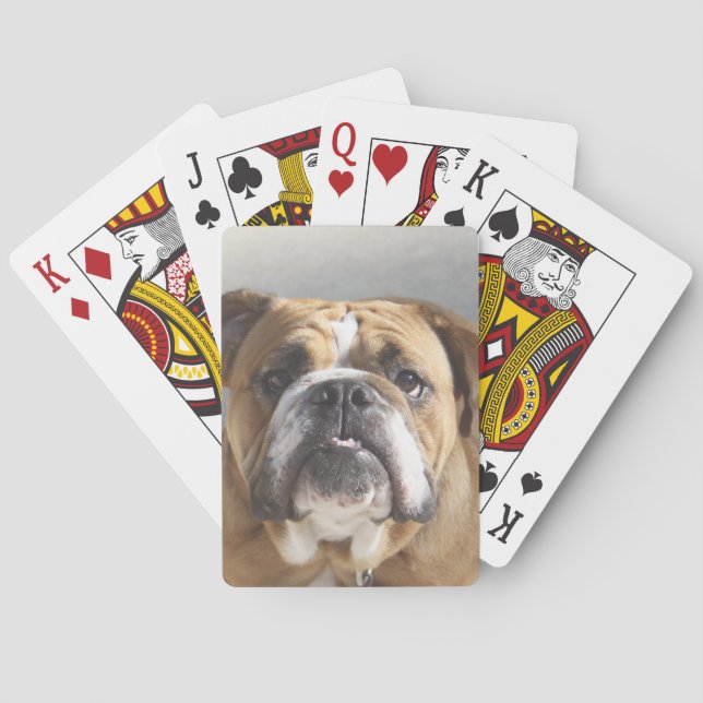 Jeu De Cartes Bulldog Face - Bulldog anglais, Brown (dos)