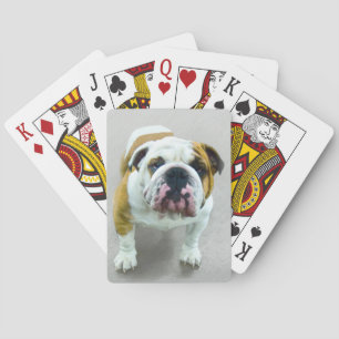 Jeu De Cartes Bulldog Painting - Cute Original Dog Art