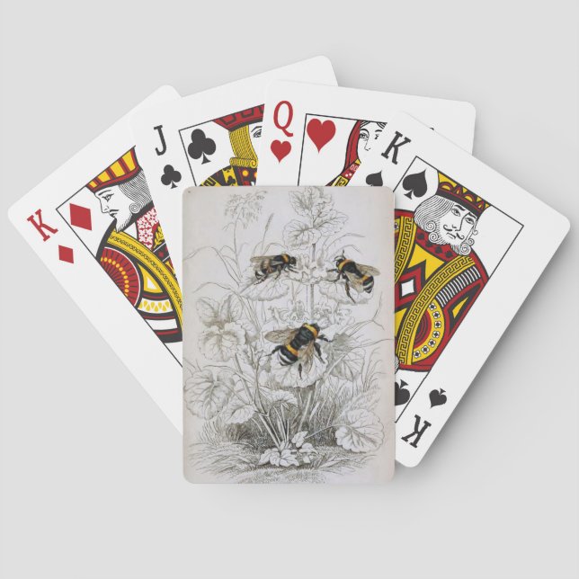 Jeu De Cartes Bumble Bee Botanical (dos)