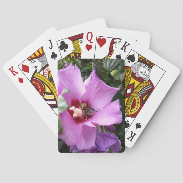 Jeu De Cartes Bumblebebe sur la fleur d'Hibiscus (dos)