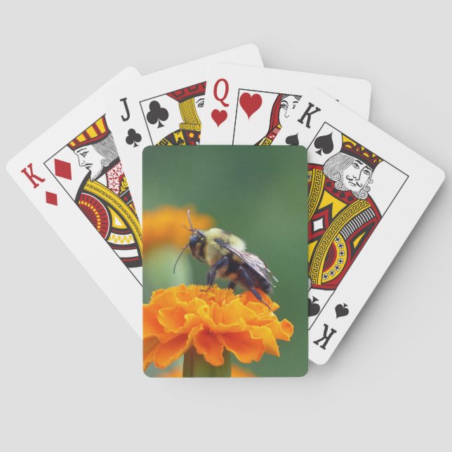 Jeu De Cartes Busy Bee (dos)