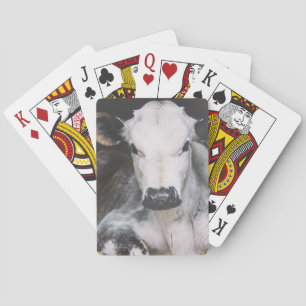 Jeu De Cartes Busy day