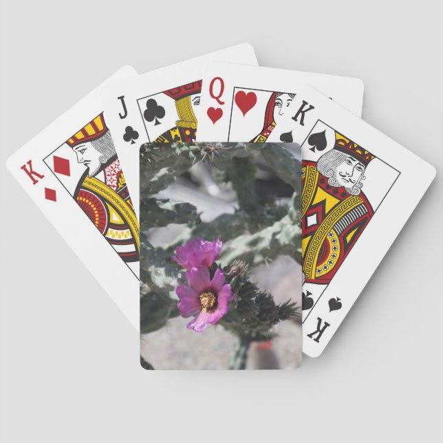 Jeu De Cartes Cactus Challa en fleurs (dos)