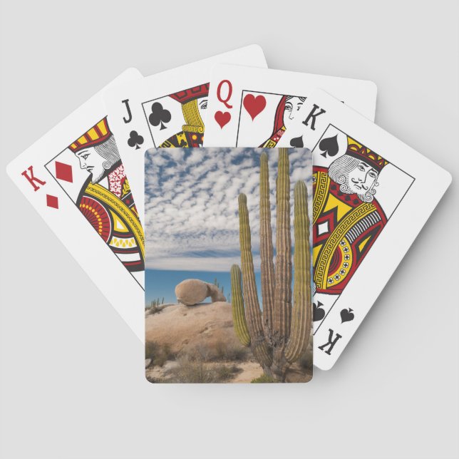 Jeu De Cartes Cactus dans un paysage désertique (dos)