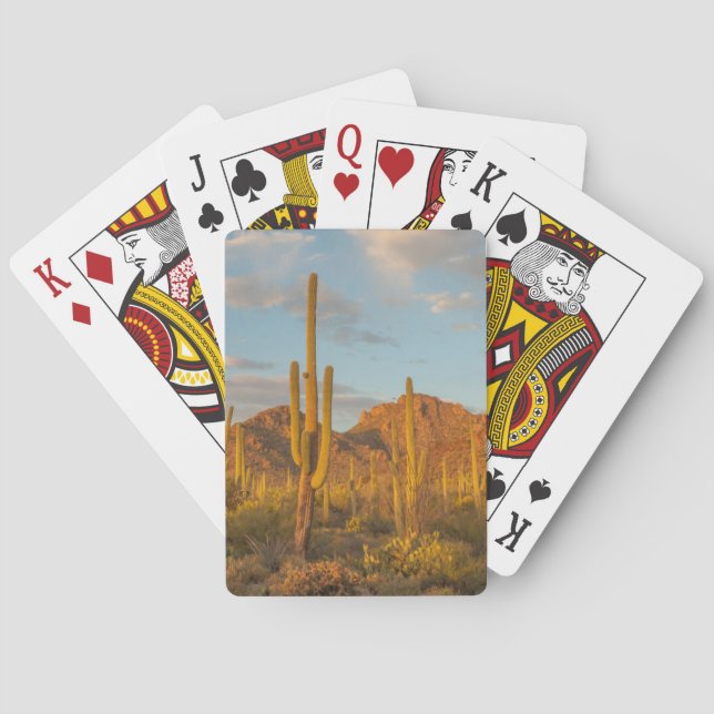Jeu De Cartes Cactus du Saguaro au coucher du soleil, Arizona (dos)