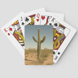 Jeu De Cartes Cactus solitaire