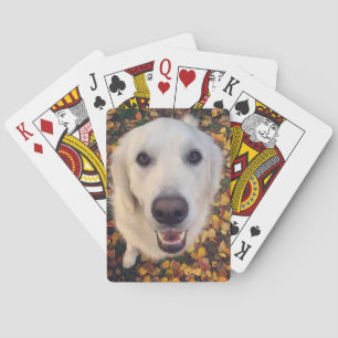 Jeu De Cartes Cadeau pour chien mignon pour les parents d'animau
