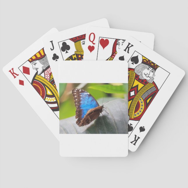 Jeu De Cartes Cadeaux de destin (dos)