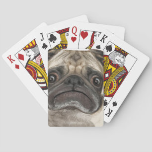 Jeu De Cartes Cadeaux Grumpy Puggy