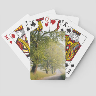 Jeu De Cartes Cades Cove Great Smokey Mountains, TN