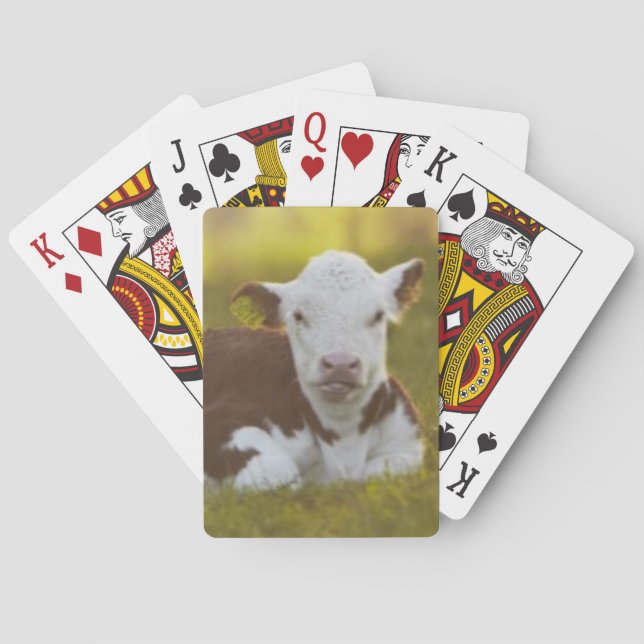 Jeu De Cartes Calf (dos)