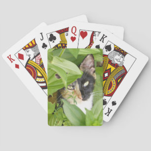 Jeu De Cartes Calico Cat dans les Zinnias