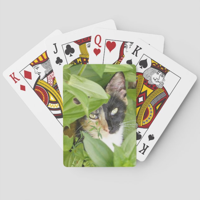 Jeu De Cartes Calico Cat dans les Zinnias (dos)