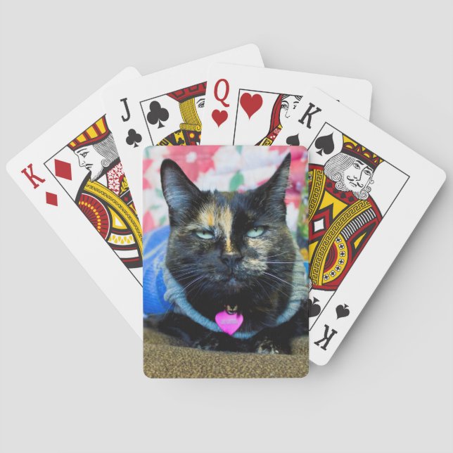 Jeu De Cartes Calico Ier (dos)
