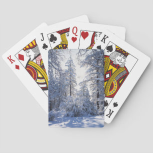 Jeu De Cartes Californie, forêt nationale de Cleveland, Laguna 1