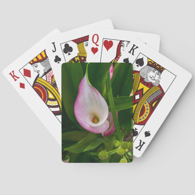 Jeu De Cartes Calla Roll (dos)