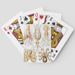 Jeu De Cartes Calmar de poulpe, Gamochonia, par Ernst Haeckel