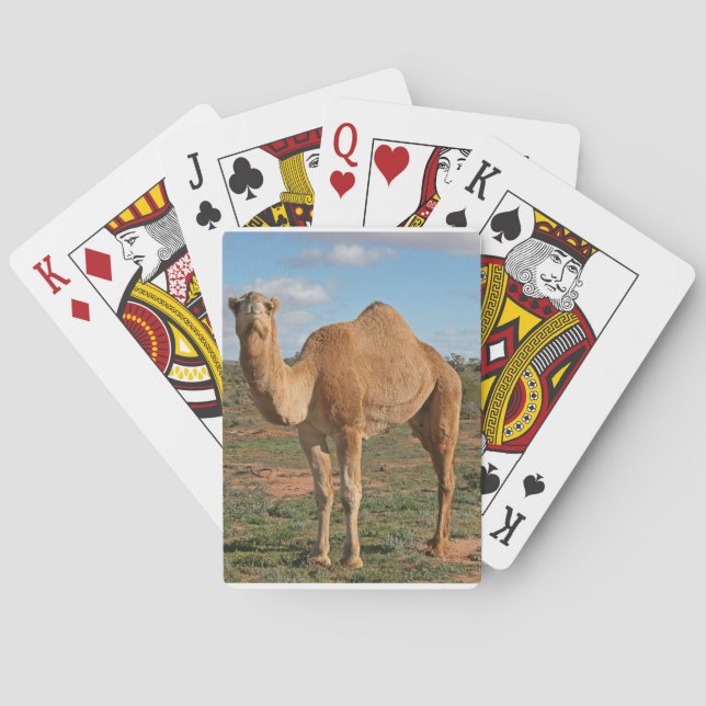 Jeu De Cartes Camel (dos)