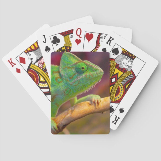 Jeu De Cartes Caméléon Vert (dos)